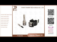 7135-575 Delphi Injector Repair Kit per 28231462 VW 1.2L Nozzle L363PRD Nozzle-Valve Kit