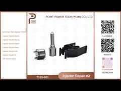 7135-663 Kit di riparazione degli iniettori Delphi