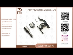 7135-573 Kit di riparazione dell'iniettore Delphi per iniettore 33800-4A710/28229873