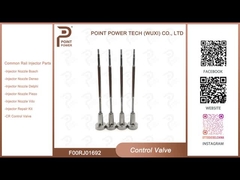 F00RJ01692 Valvola di controllo Bosch per iniettori 0445120343 ugello applicato DLLA152P2344