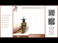 Valvola di controllo diesel T625 per iniettore 0445110522 / 523