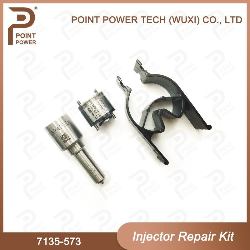 7135-573 Delphi Common Rail Injector Kits per gli iniettori comuni 28229873, 33800-4A710 della ferrovia