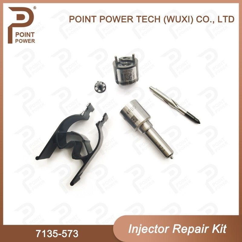 7135-573 Delphi Common Rail Injector Kits per gli iniettori comuni 28229873, 33800-4A710 della ferrovia