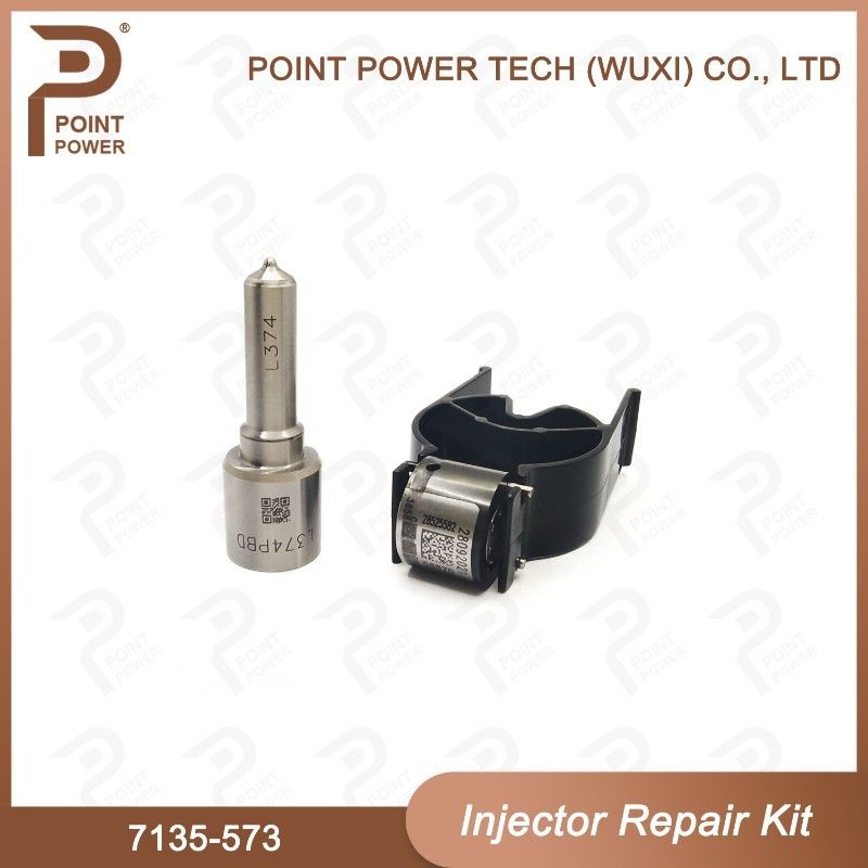7135-573 Delphi Common Rail Injector Kits per gli iniettori comuni 28229873, 33800-4A710 della ferrovia