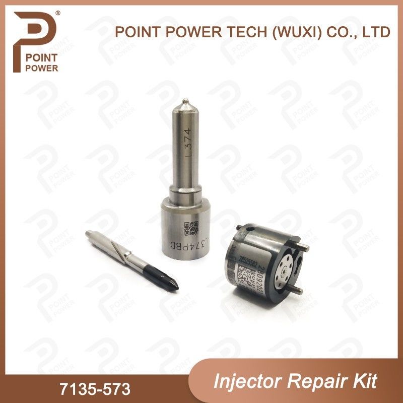 7135-573 Delphi Common Rail Injector Kits per gli iniettori comuni 28229873, 33800-4A710 della ferrovia