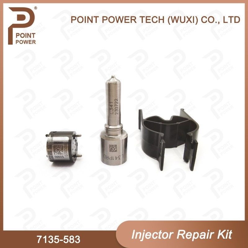 7135-583 Kit di riparazione dell'iniettore Delphi per iniettori R00301D SSANGYONG D20DTF Kit di valvole a ugello