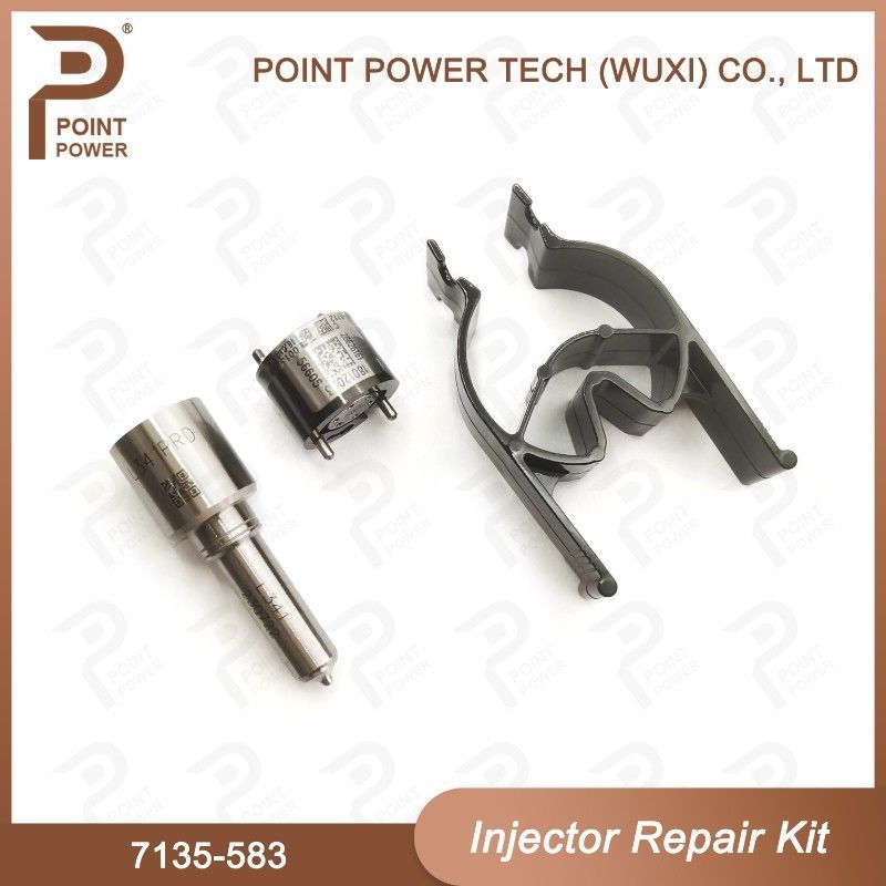 7135-583 Kit di riparazione dell'iniettore Delphi per iniettori R00301D SSANGYONG D20DTF Kit di valvole a ugello