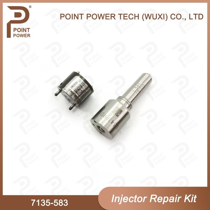 7135-583 Kit di riparazione dell'iniettore Delphi per iniettori R00301D SSANGYONG D20DTF Kit di valvole a ugello