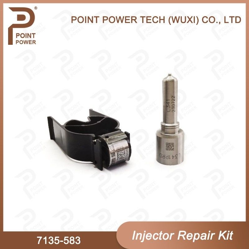 7135-583 Kit di riparazione dell'iniettore Delphi per iniettori R00301D SSANGYONG D20DTF Kit di valvole a ugello