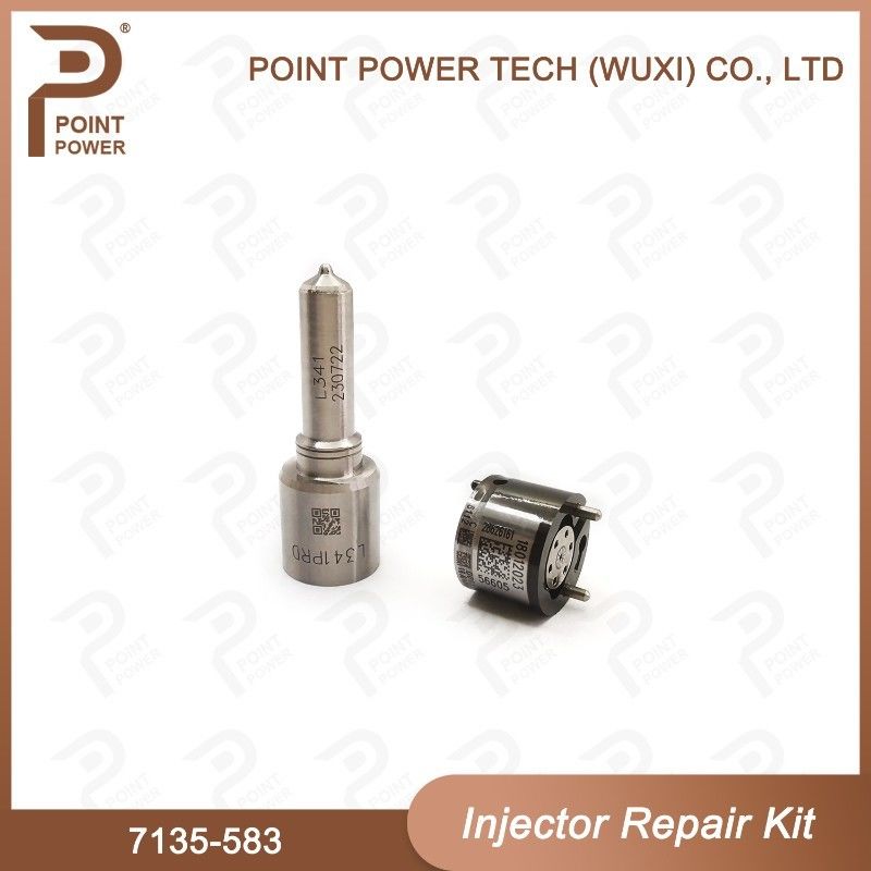 7135-583 Kit di riparazione dell'iniettore Delphi per iniettori R00301D SSANGYONG D20DTF Kit di valvole a ugello