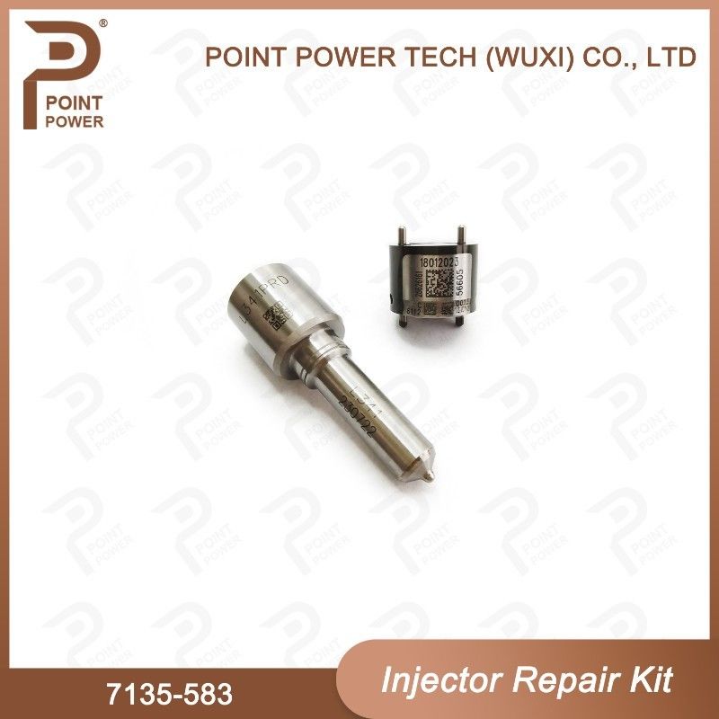 7135-583 Kit di riparazione dell'iniettore Delphi per iniettori R00301D SSANGYONG D20DTF Kit di valvole a ugello