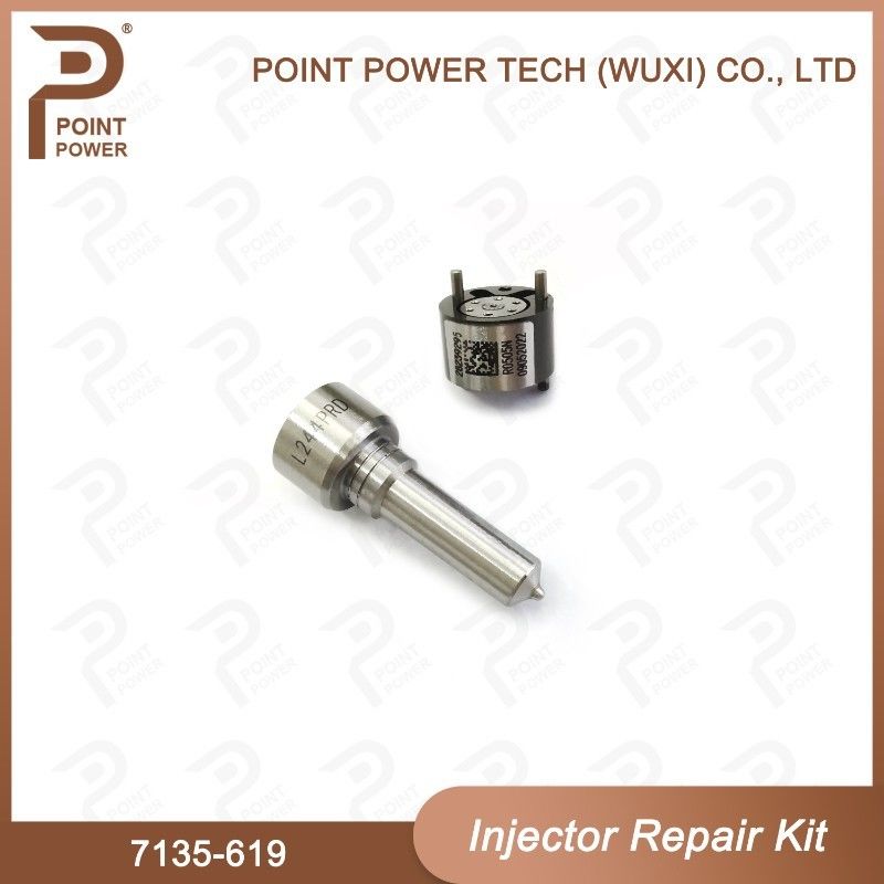 7135-619 Kit di riparazione degli iniettori di Delphi Per gli iniettori di Delphi Sangyong R04501d Kit di valvole a ugello