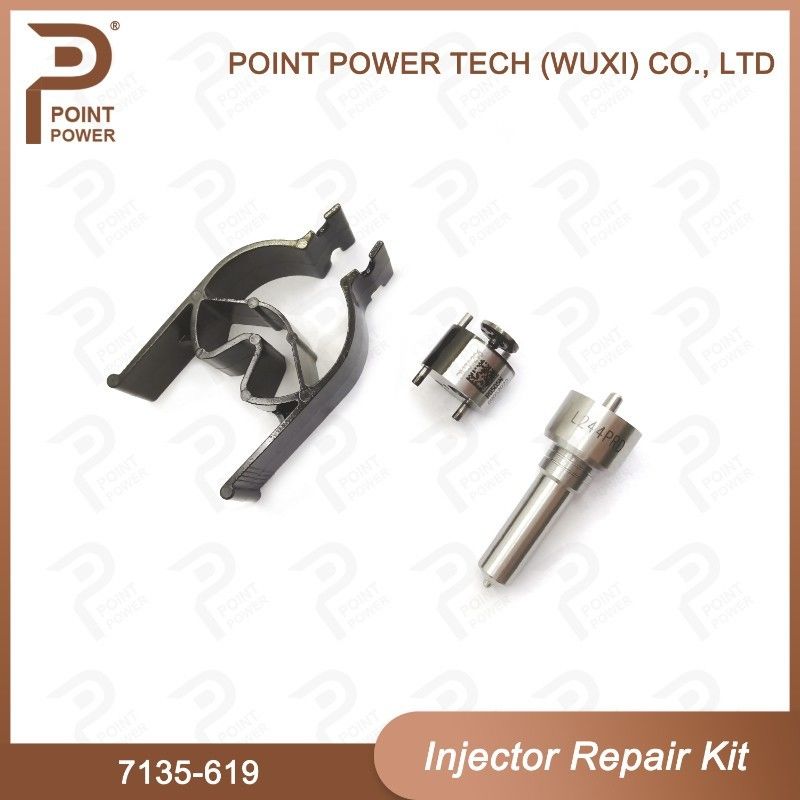 7135-619 Kit di riparazione degli iniettori di Delphi Per gli iniettori di Delphi Sangyong R04501d Kit di valvole a ugello