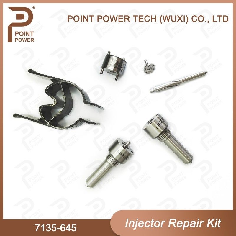 7135-645 Delphi Injector Repair Kit For Injectors R05201D Nozzle-CVA Kit con ugello comune
