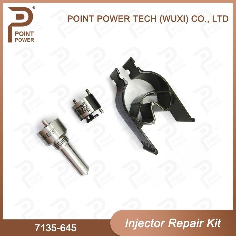 7135-645 Delphi Injector Repair Kit For Injectors R05201D Nozzle-CVA Kit con ugello comune