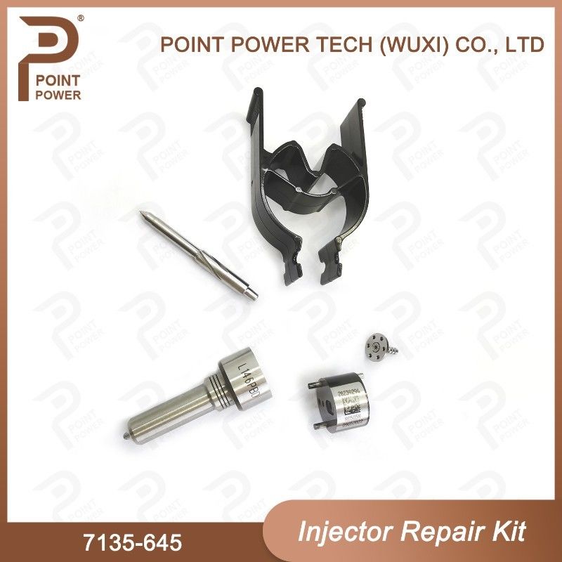 7135-645 Delphi Injector Repair Kit For Injectors R05201D Nozzle-CVA Kit con ugello comune