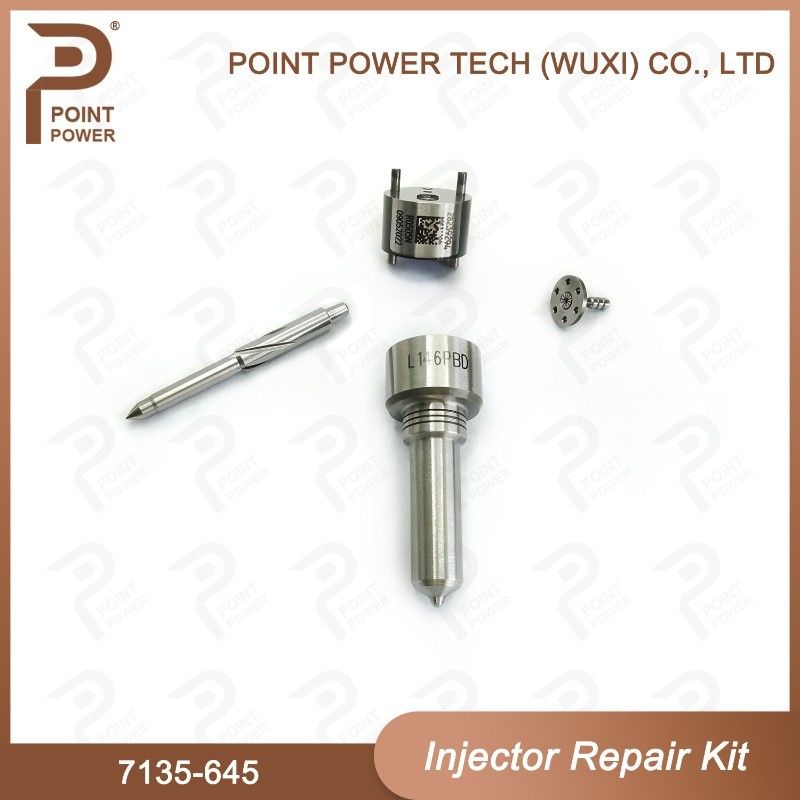 7135-645 Delphi Injector Repair Kit For Injectors R05201D Nozzle-CVA Kit con ugello comune