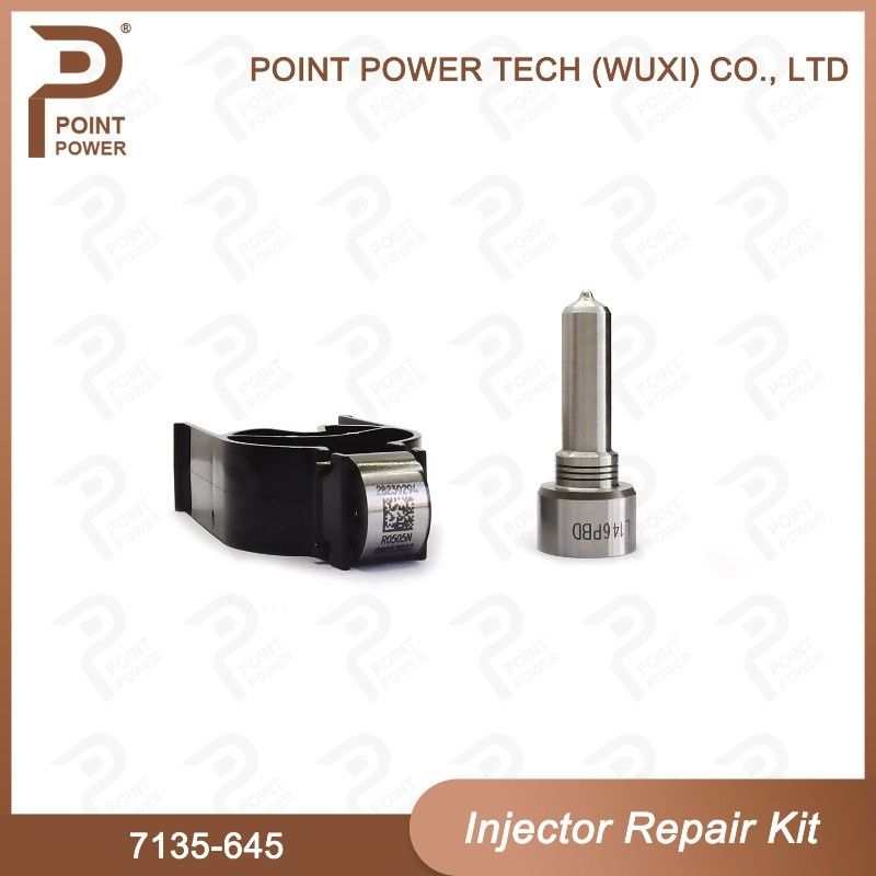 7135-645 Delphi Injector Repair Kit For Injectors R05201D Nozzle-CVA Kit con ugello comune