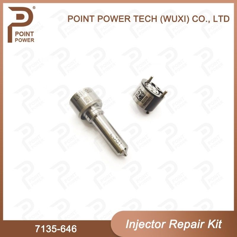 7135-646 Kit di riparazione dell'iniettore Delphi per l'iniettore 28232251/ R03101D/R05102D Kit di valvole a ugello