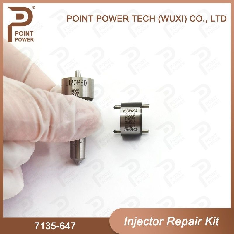 7135-647 Kit di riparazione dell'iniettore Delphi per l'iniettore 28232248 Kit di valvole a ugello con ugello L120PBD