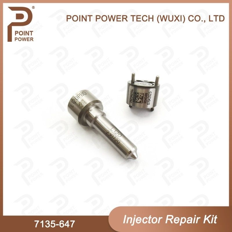 7135-647 Kit di riparazione dell'iniettore Delphi per l'iniettore 28232248 Kit di valvole a ugello con ugello L120PBD