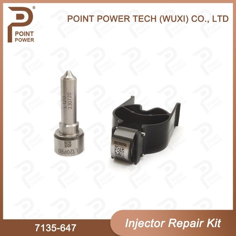 7135-647 Kit di riparazione dell'iniettore Delphi per l'iniettore 28232248 Kit di valvole a ugello con ugello L120PBD