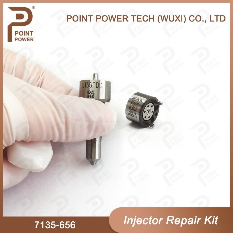 7135-656 Kit di riparazione dell'iniettore Delphi per l'iniettore R00504Z Kit di valvole a ugello con ugello L135PBD