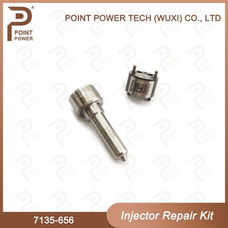 7135-656 Kit di riparazione dell'iniettore Delphi per l'iniettore R00504Z Kit di valvole a ugello con ugello L135PBD