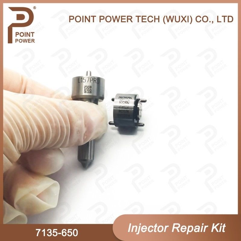 7135 - 650 Kit di riparazione dell'iniettore Delphi per iniettore R04701D