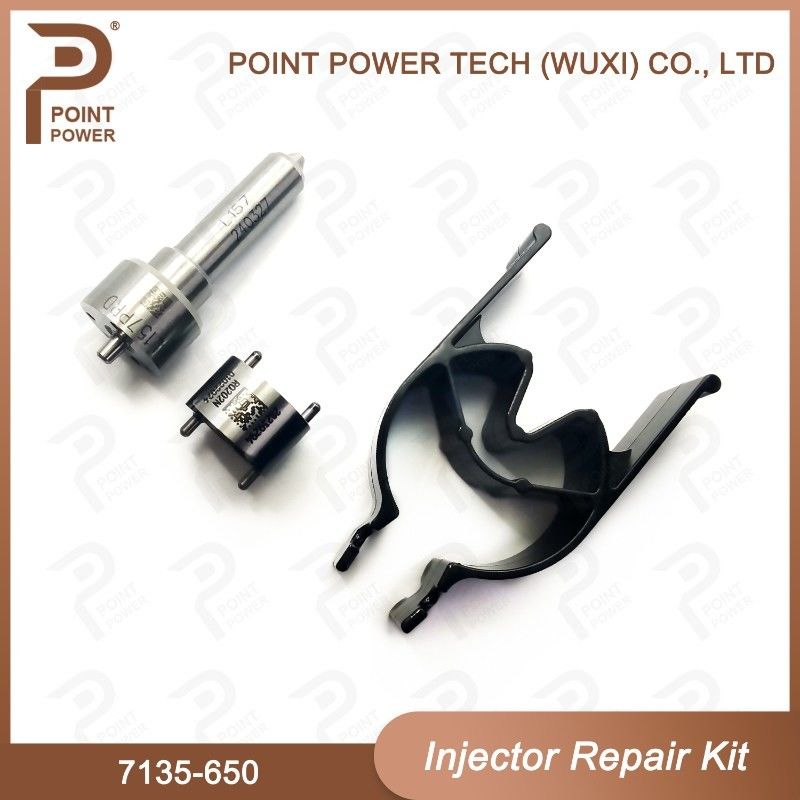 7135 - 650 Kit di riparazione dell'iniettore Delphi per iniettore R04701D