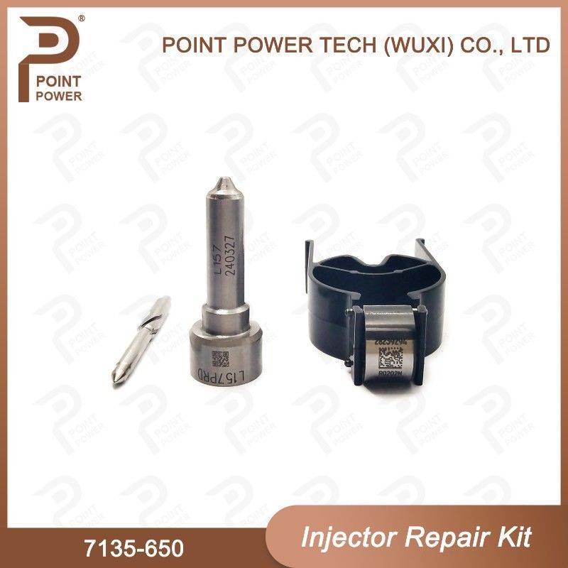 7135 - 650 Kit di riparazione dell'iniettore Delphi per iniettore R04701D
