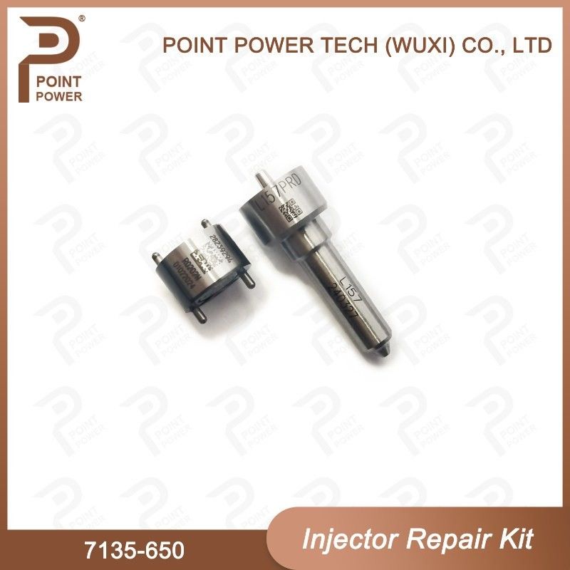 7135 - 650 Kit di riparazione dell'iniettore Delphi per iniettore R04701D