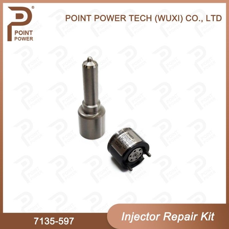 7135-597 Kit di riparazione degli iniettori Delphi