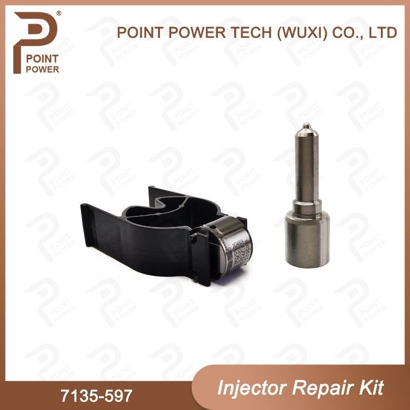 7135-597 Kit di riparazione degli iniettori Delphi