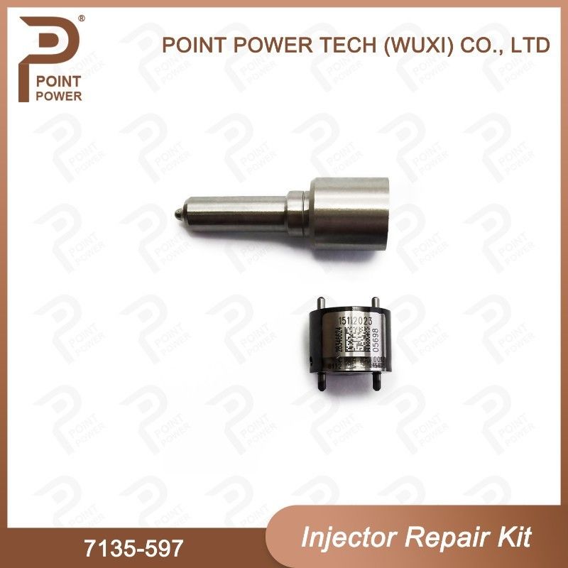 7135-597 Kit di riparazione degli iniettori Delphi