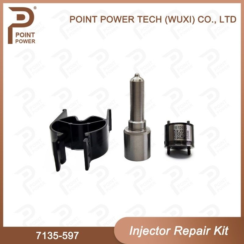 7135-597 Kit di riparazione degli iniettori Delphi