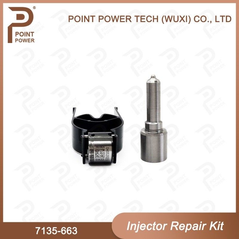 7135-663 Kit di riparazione degli iniettori Delphi