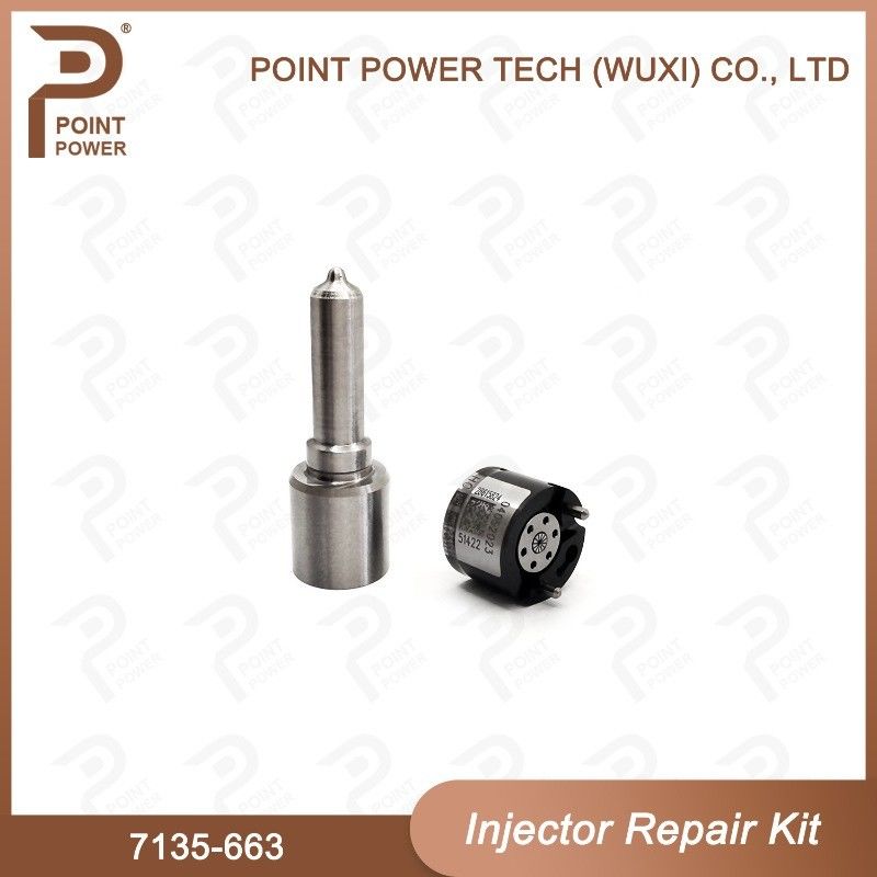 7135-663 Kit di riparazione degli iniettori Delphi