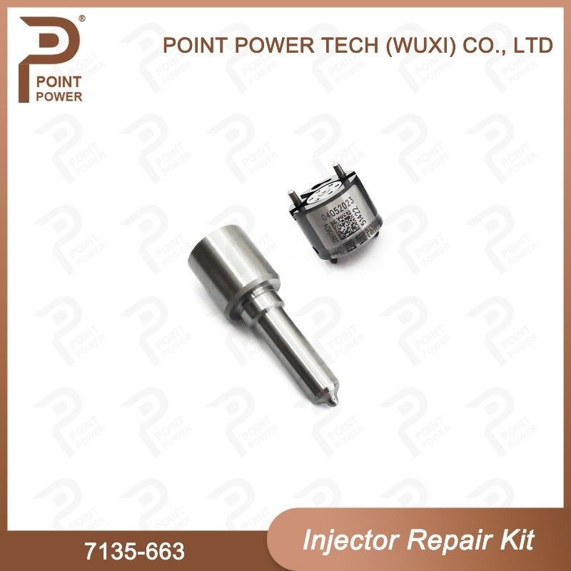 7135-663 Kit di riparazione degli iniettori Delphi