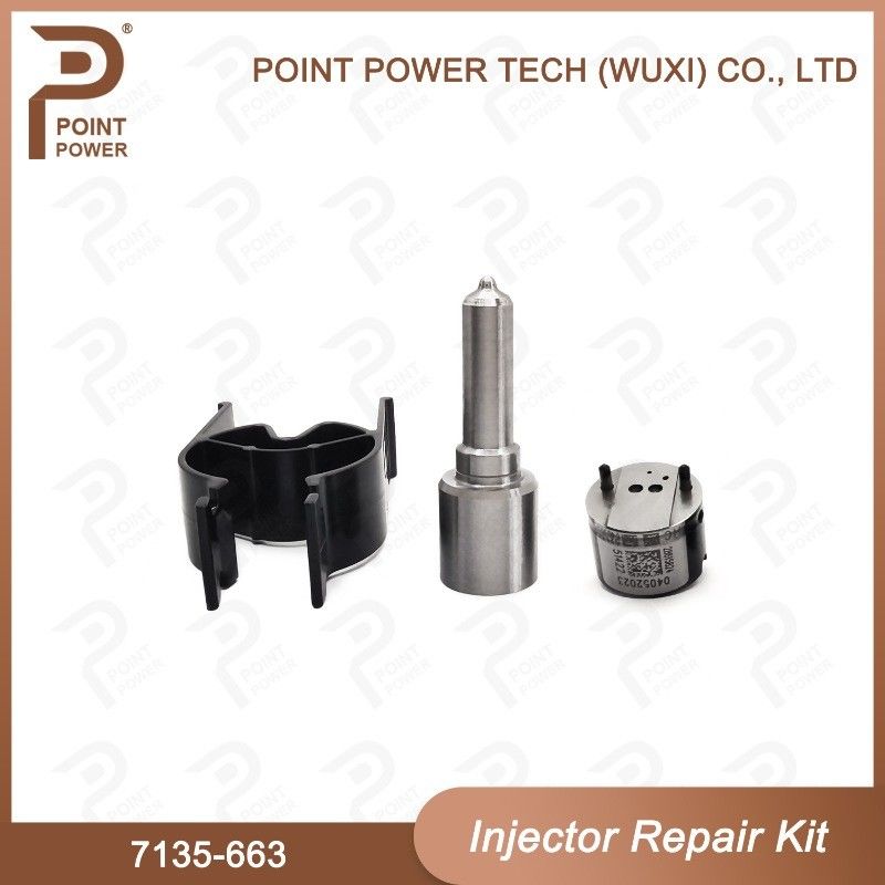7135-663 Kit di riparazione degli iniettori Delphi