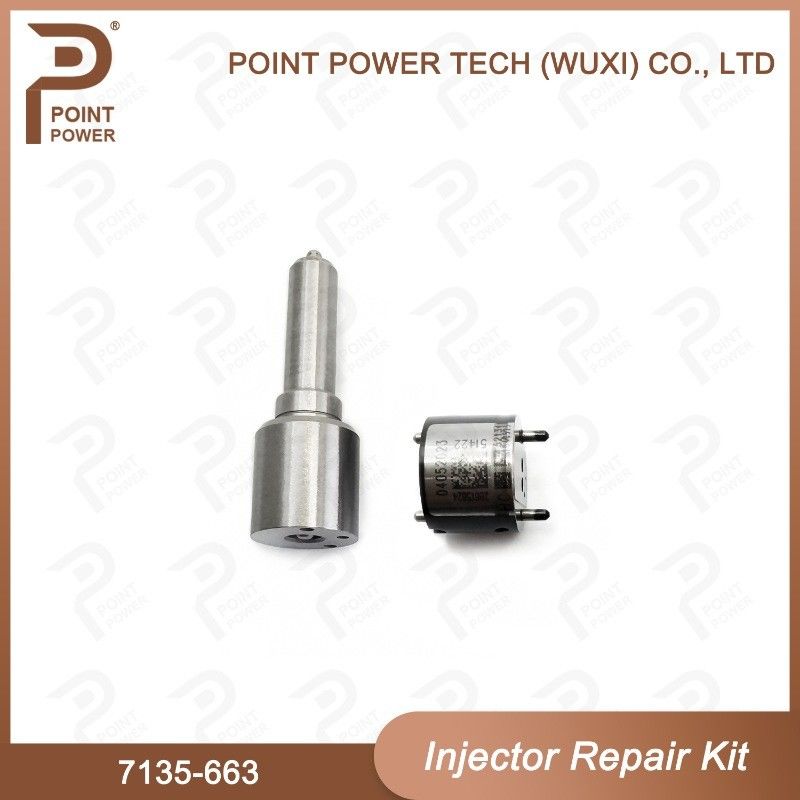 7135-663 Kit di riparazione degli iniettori Delphi