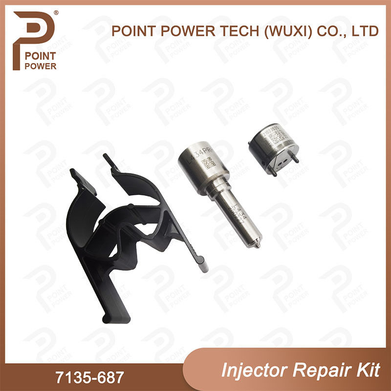 7135-687 Kit di riparazione degli iniettori Delphi Common Rail Diesel Injector