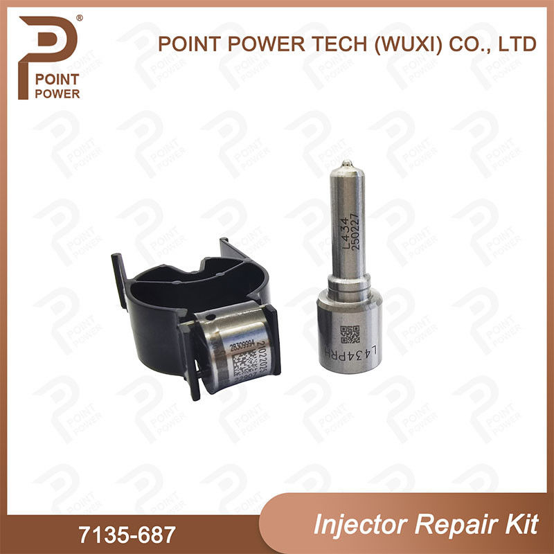 7135-687 Kit di riparazione degli iniettori Delphi Common Rail Diesel Injector