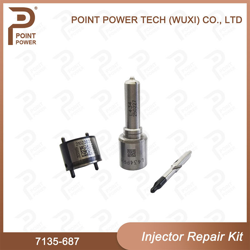 7135-687 Kit di riparazione degli iniettori Delphi Common Rail Diesel Injector
