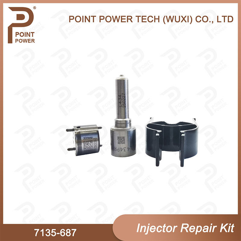 7135-687 Kit di riparazione degli iniettori Delphi Common Rail Diesel Injector