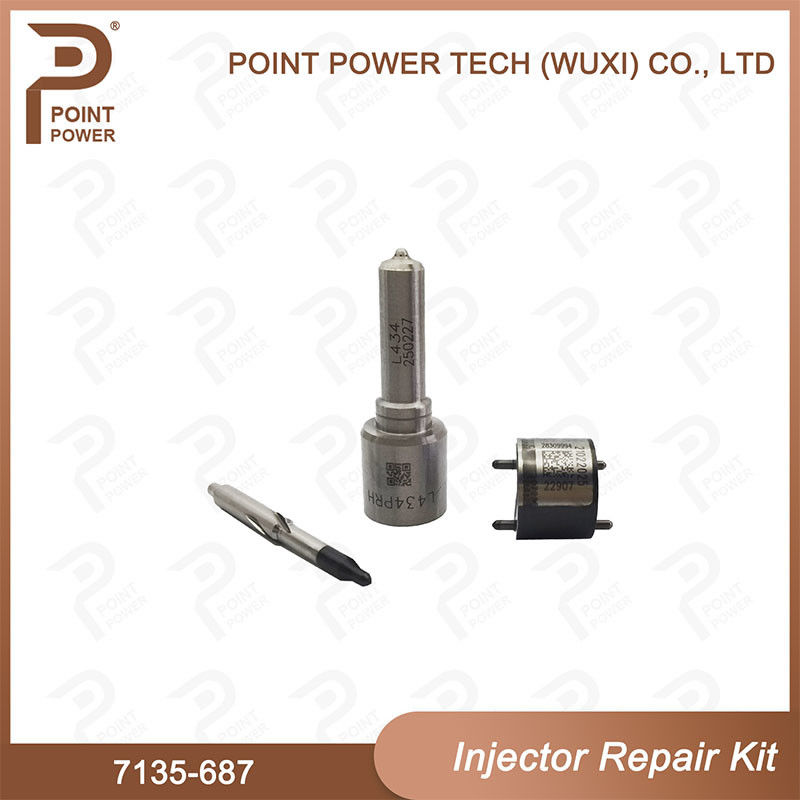 7135-687 Kit di riparazione degli iniettori Delphi Common Rail Diesel Injector