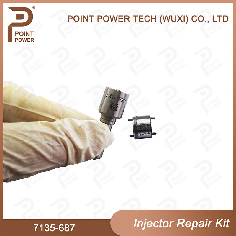 7135-687 Kit di riparazione degli iniettori Delphi Common Rail Diesel Injector