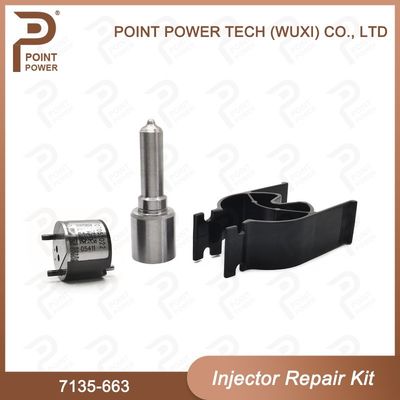 7135-663 Kit di riparazione degli iniettori Delphi